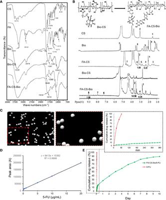 Inhibitory of active dual cancer targeting 5-Fluorouracil nanoparticles on liver cancer in vitro and in vivo